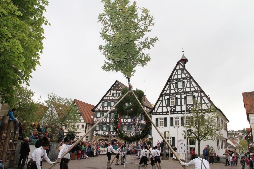 Maibaumaufstellen in Pfullingen 2016