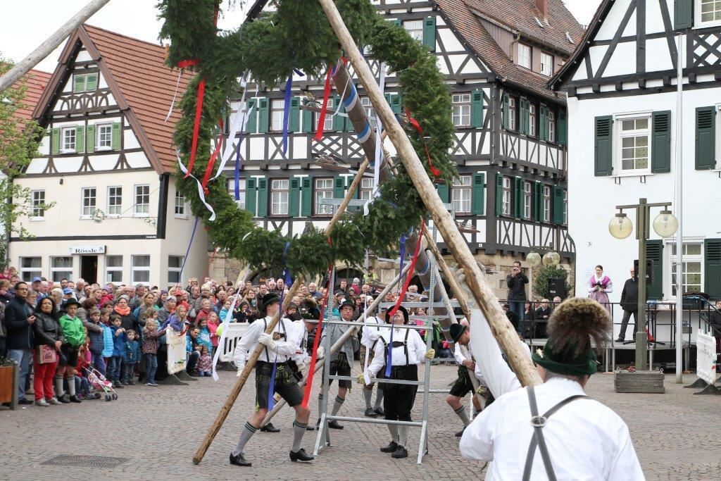 Maibaumaufstellen in Pfullingen 2016