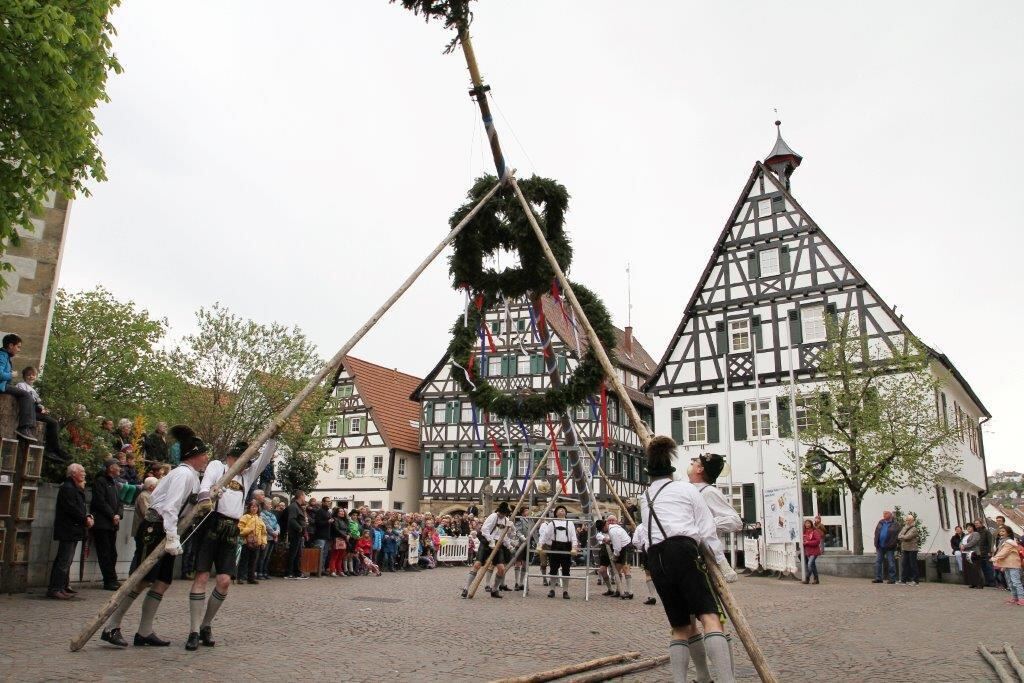 Maibaumaufstellen in Pfullingen 2016