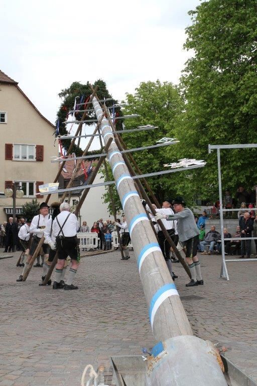 Maibaumaufstellen in Pfullingen 2016