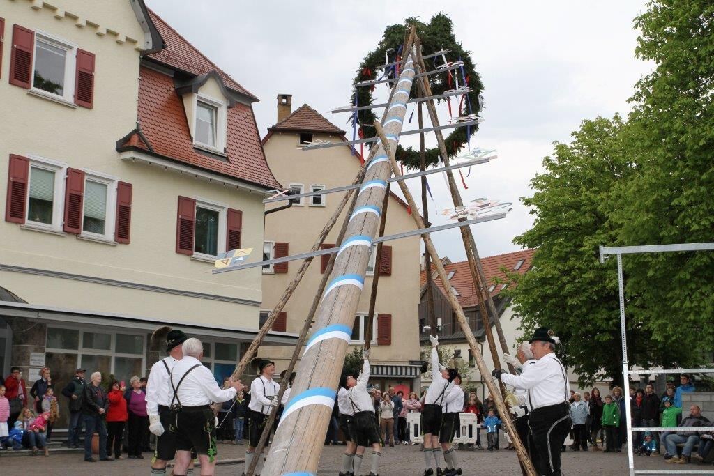 Maibaumaufstellen in Pfullingen 2016