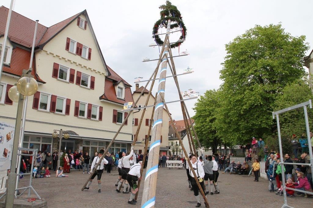 Maibaumaufstellen in Pfullingen 2016