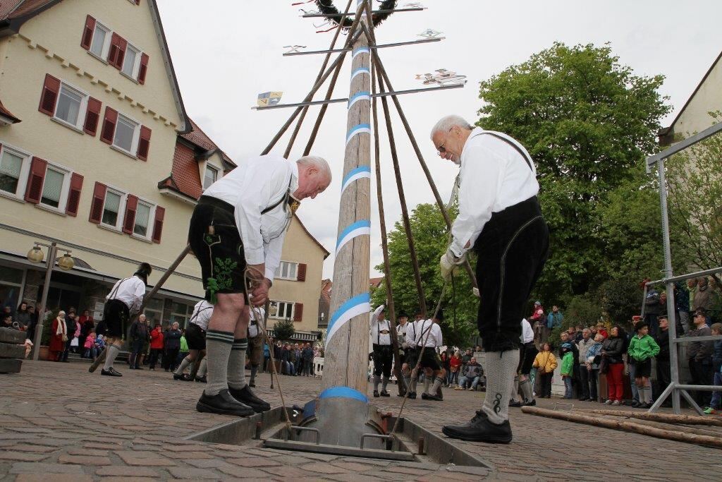 Maibaumaufstellen in Pfullingen 2016