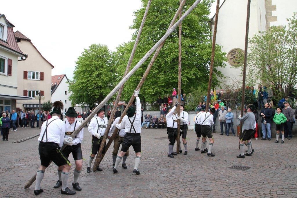 Maibaumaufstellen in Pfullingen 2016