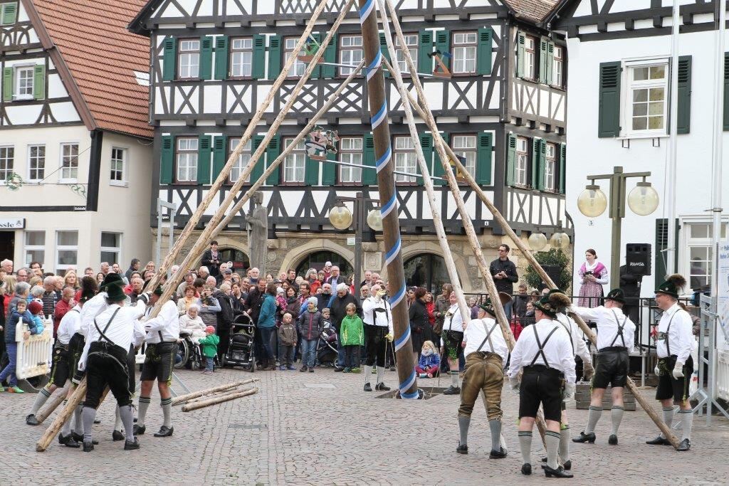 Maibaumaufstellen in Pfullingen 2016