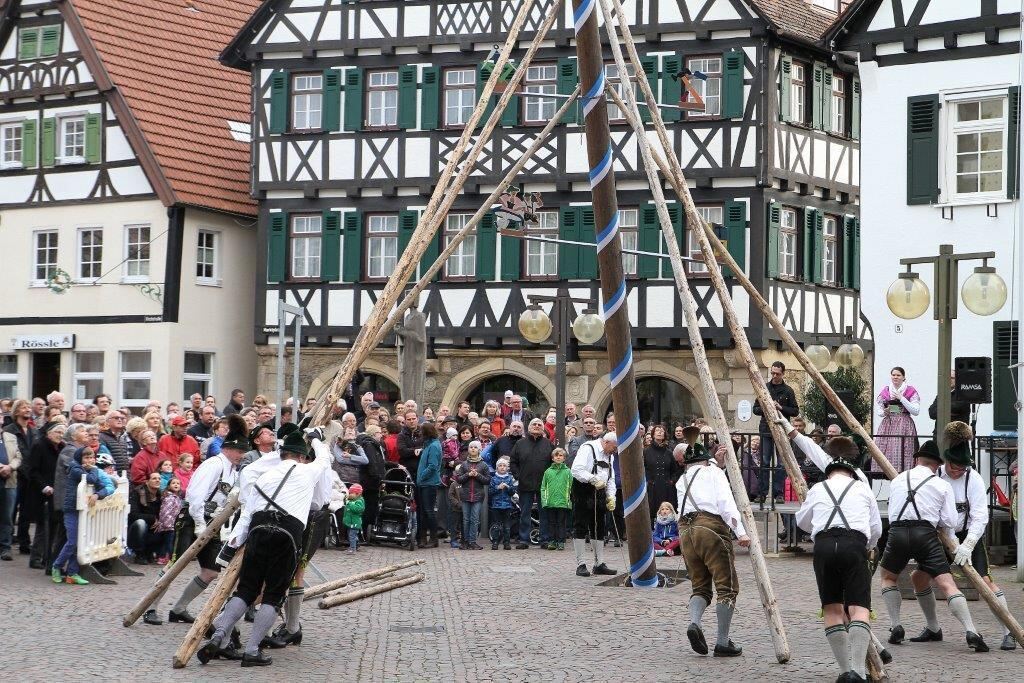 Maibaumaufstellen in Pfullingen 2016