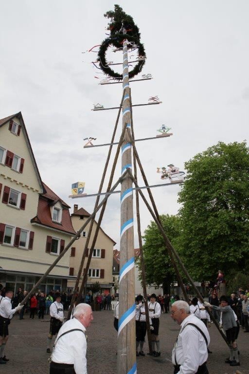 Maibaumaufstellen in Pfullingen 2016