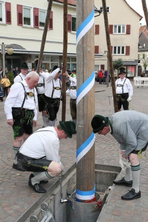 Maibaumaufstellen in Pfullingen 2016