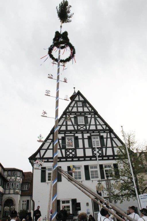 Maibaumaufstellen in Pfullingen 2016