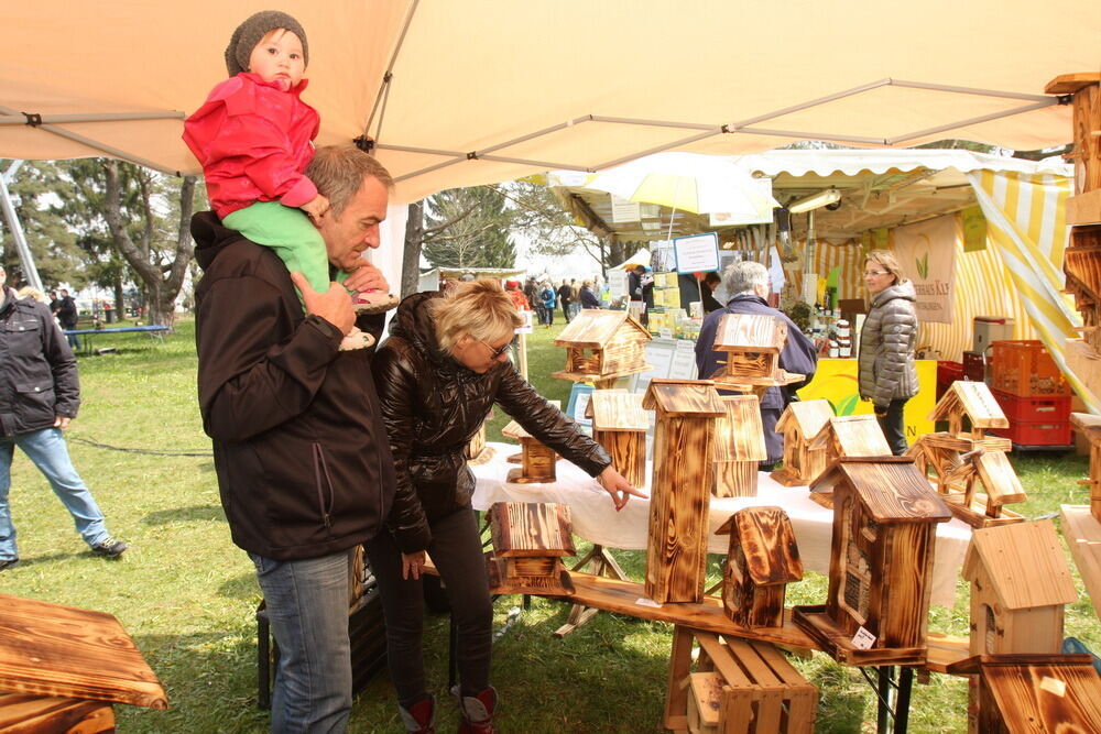 Oldtimer- und Dampfmaschinenfest Münsingen 2016