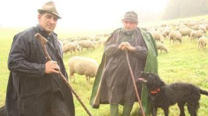 Bei jedem Wetter für die Landschaftspflege unterwegs: Sohn Johannes (links) und Vater Walter Allgaier mit ihren Schafen. FOTO: B