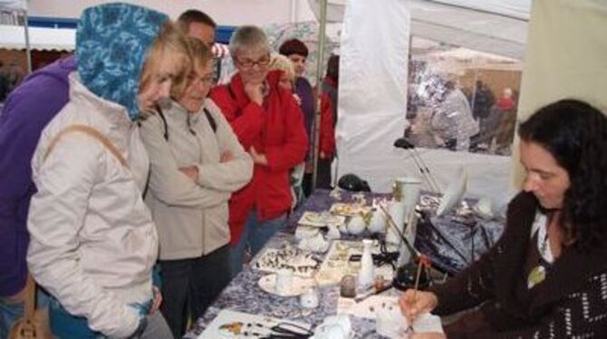 Schaulust: Handbemaltes Porzellan unter den vielen Attraktionen beim Kunsthandwerkermarkt in Dettingen. FOTO: SANDER