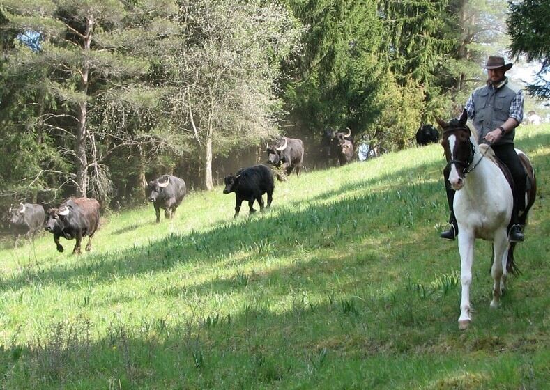 Frühlingsfreude für die Albbüffel