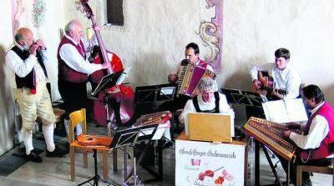 Die Instrumentalisten der Sondelfinger Stubenmusik boten ein stimmungsvolles Konzert. FOTO: STRÖHLE