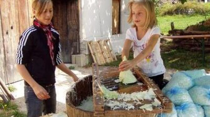 Marie (rechts) und ihre Schwester Laura stellten sich beim Hobeln von Filderspitzkraut ganz geschickt an. Ganz frisch in kleine