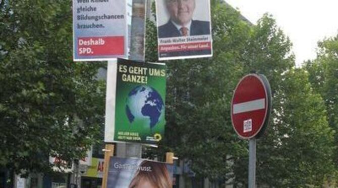 Noch hängen sie einträchtig nebeneinander. Am Sonntag wirds für die Wahlkreiskandidaten dann aber ernst.
FOTO: SPENGLER