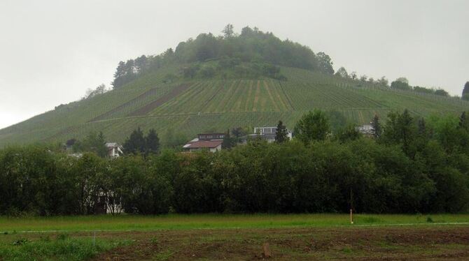 Der Weinbergfuß in Metzingen gibt für die Bauverwaltung keinen Anlass zur Änderung des Bebauungsplans, auch wenn dort nun etwas