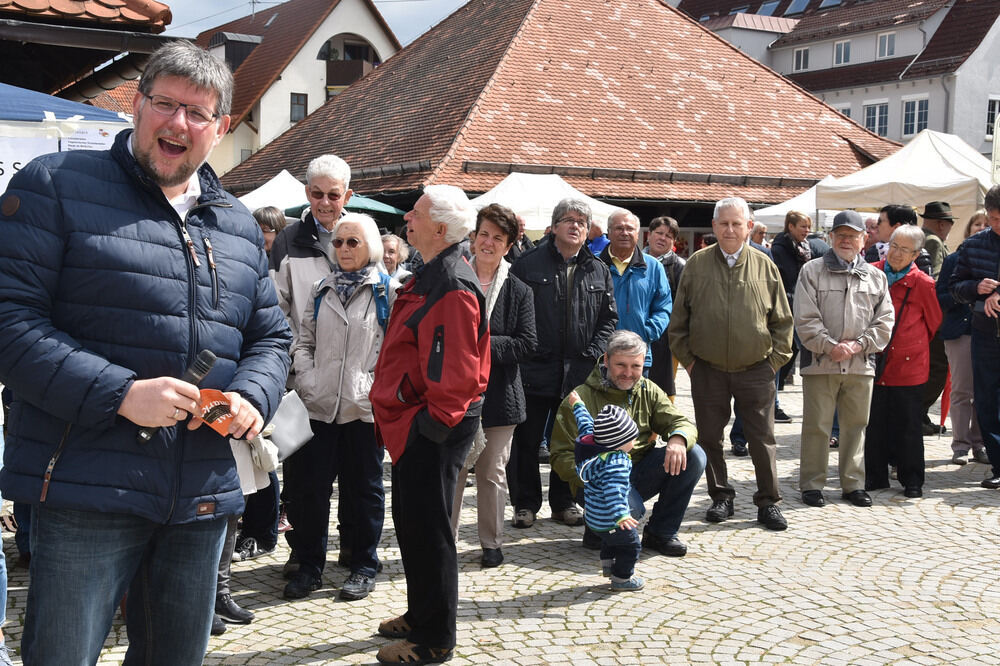 Metzinger Kunstmarkt 2016