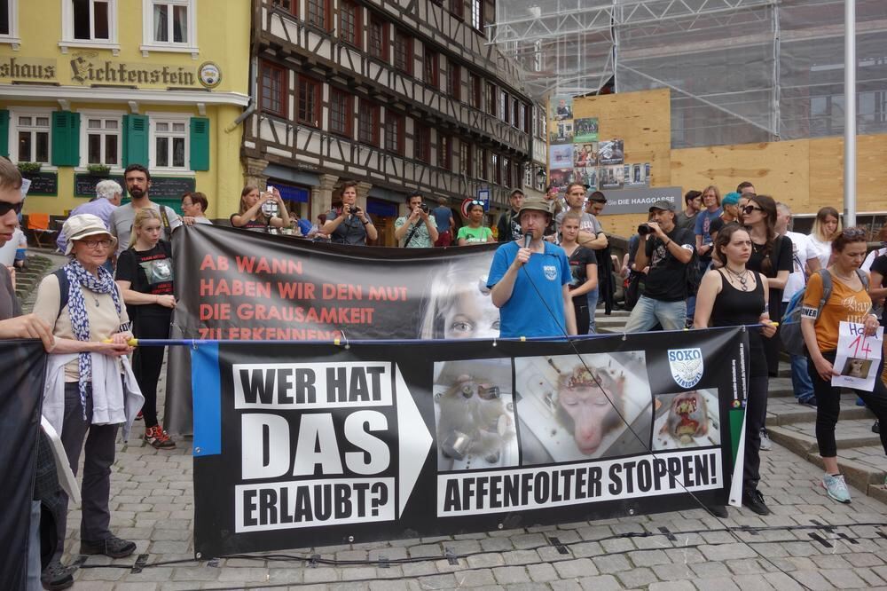 6. Großdemo gegen Tübinger Affenversuche