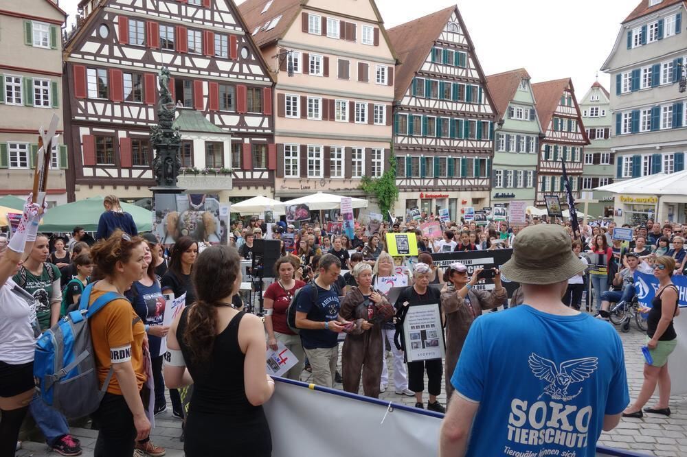 6. Großdemo gegen Tübinger Affenversuche