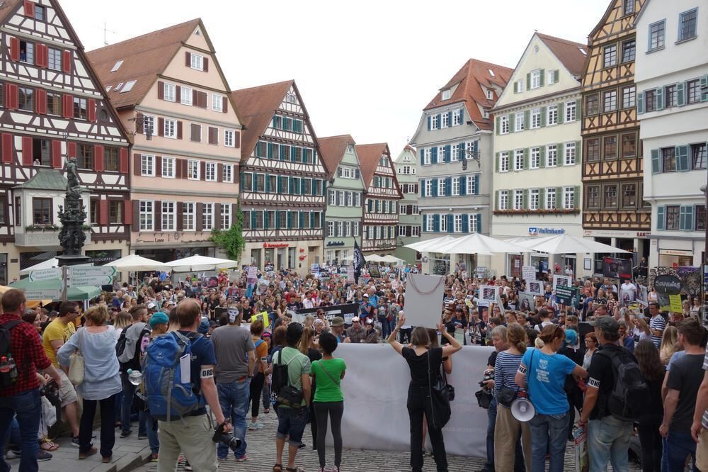 6. Großdemo gegen Tübinger Affenversuche