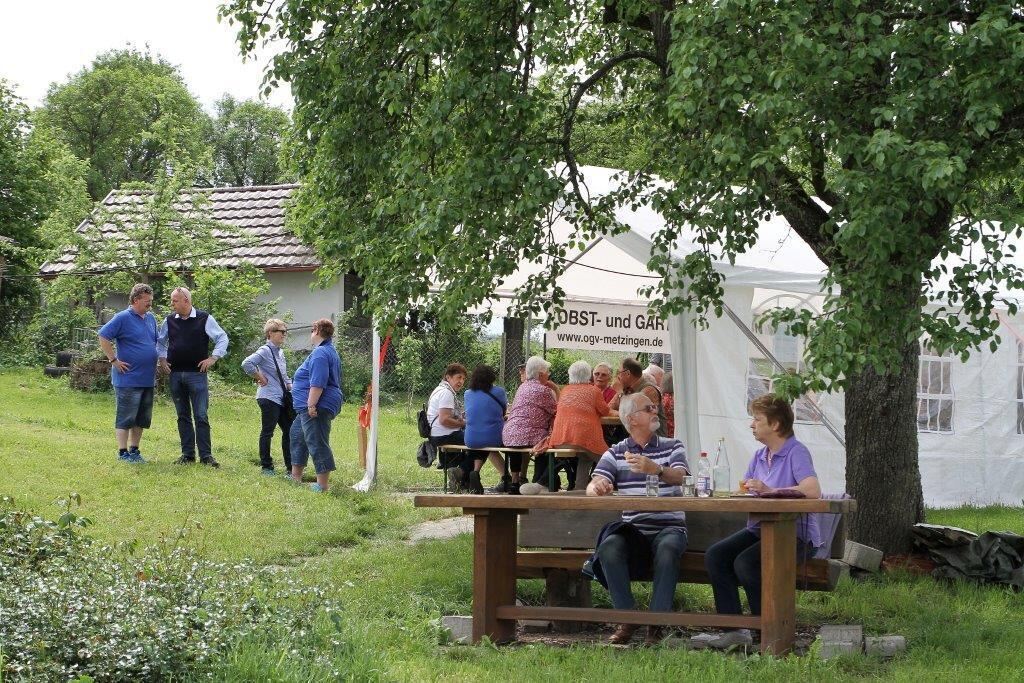 4. Metzinger Streuobstwiesenfest