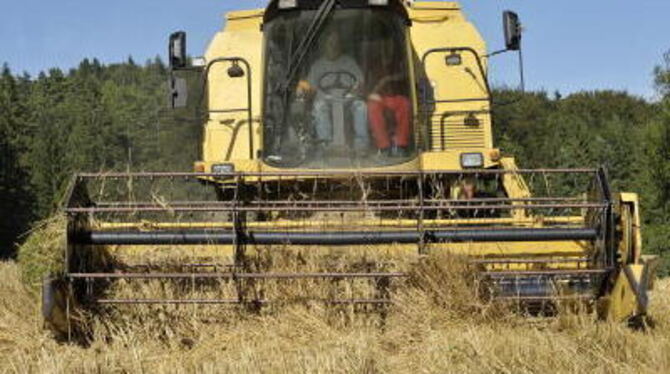 Die trockene Wetterlage hat die Getreideernte in Schwung gebracht. FOTO: NIETHAMMER