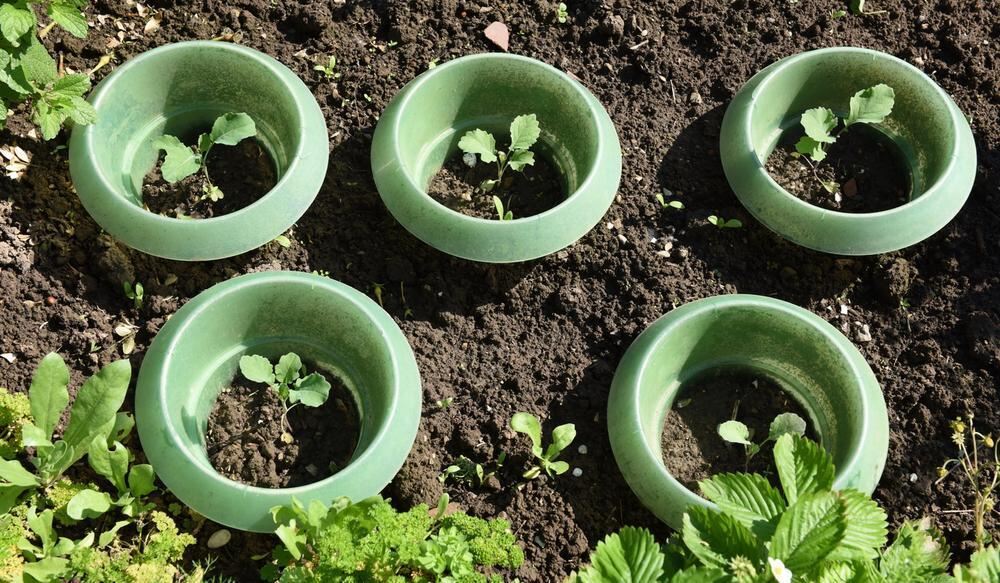 Gartenparadies von Sonja Lumpp Kusterdingen