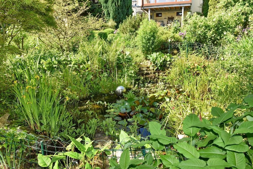 Gartenparadies von Sonja Lumpp Kusterdingen