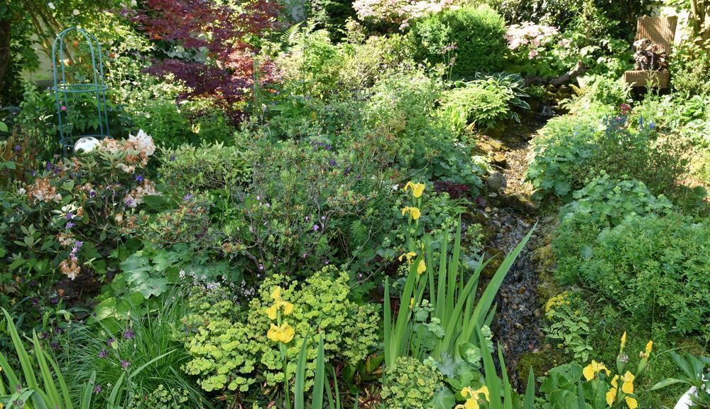 Gartenparadies von Sonja Lumpp Kusterdingen