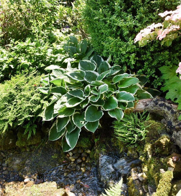 Gartenparadies von Sonja Lumpp Kusterdingen