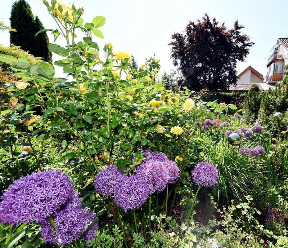 Gartenparadies von Sonja Lumpp Kusterdingen