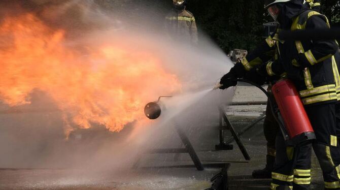 Die Lichtensteiner übten bei der Flughafenfeuerwehr Wien das Löschen von Fließbränden. FOTO: PRIVAT