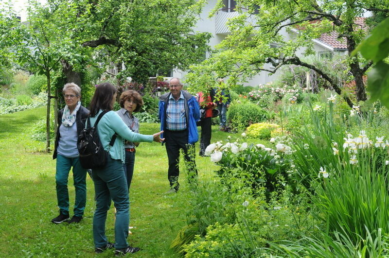 Tag der offenen Gärten in Kusterdingen Juni 2016