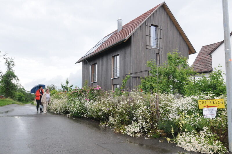 Tag der offenen Gärten in Kusterdingen Juni 2016