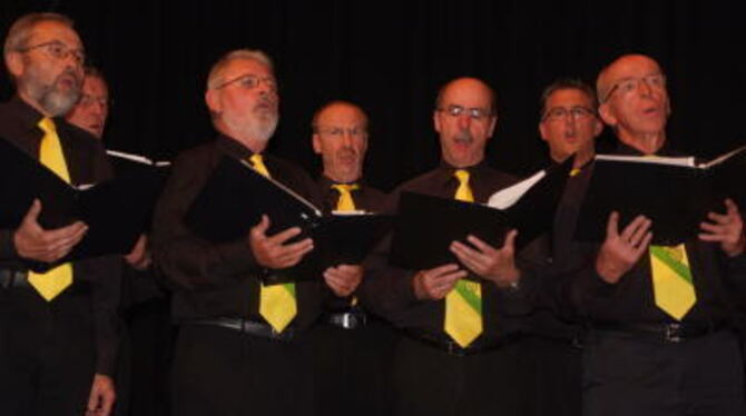 Gute Stimmen beim Benefizkonzert für die Diakonische Sozialstation: Bürgermeisterchor in der Metzinger Stadthalle. FOTO: SANDER