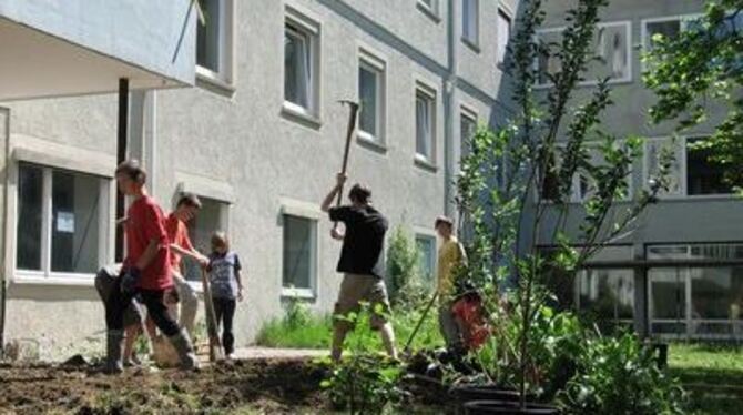 Vor der &raquo;Münsinger Schule&laquo; wird gepflanzt. Ob die Jugendlichen im kommenden Schuljahr noch da sind, ist aber offen.