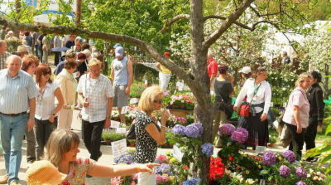 Auf der Pomologie und im Volkspark öffnet heute die Gartenmesse GardenLife.  ARCHIVFOTO: TRINKHAUS