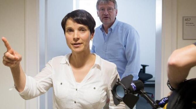 Frauke Petry, AfD-Bundesvorsitzende, nach einem Gespräch mit Jörg Meuthen in Stuttgart. Foto: Christoph Schmidt