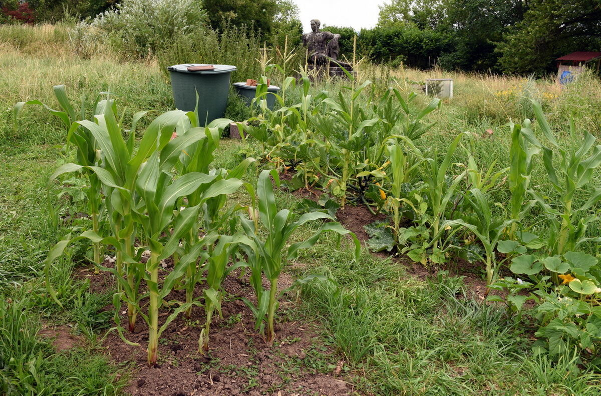 Im Klimagarten der Uni Tübingen