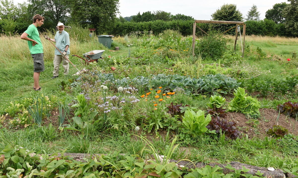 Im Klimagarten der Uni Tübingen