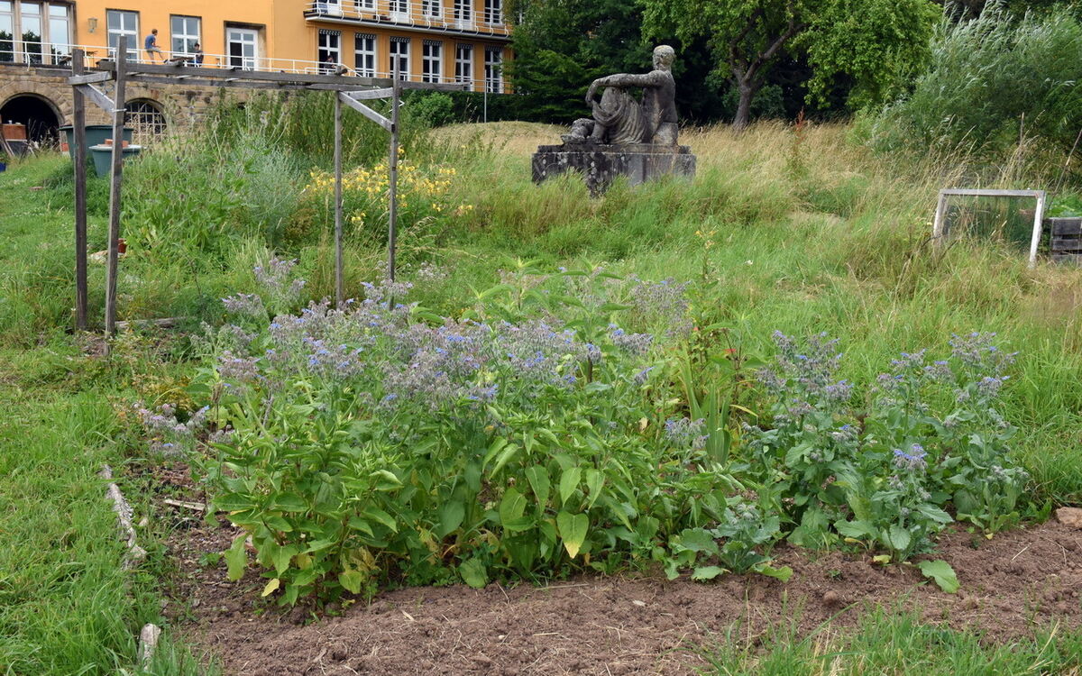 Im Klimagarten der Uni Tübingen