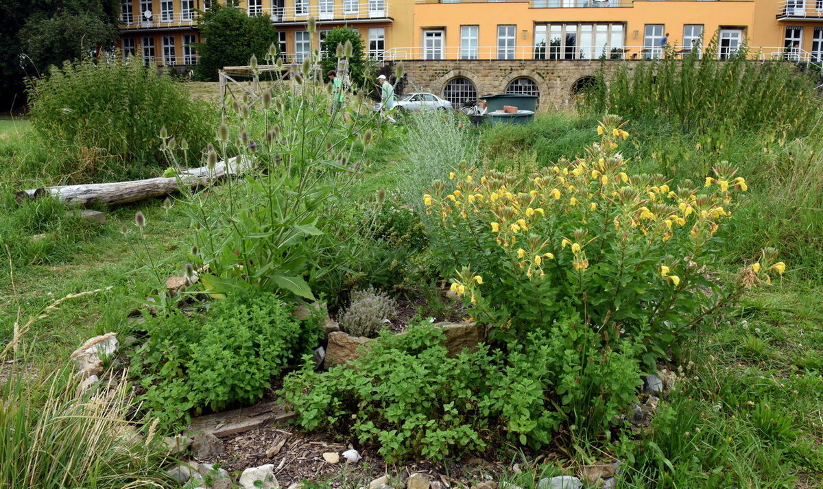 Im Klimagarten der Uni Tübingen