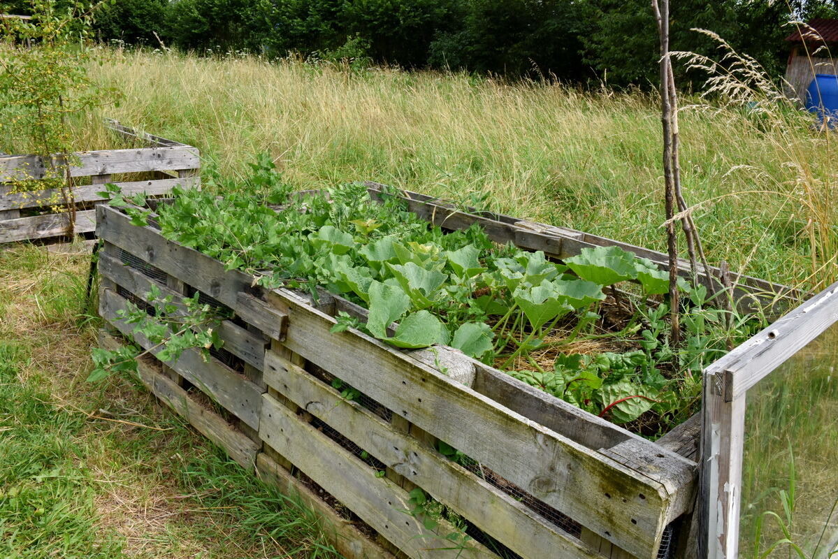 Im Klimagarten der Uni Tübingen