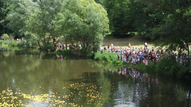 1200 numerierte Enten trieben flussabwärts dem Ziel entgegen. Auf die Besitzer warteten Sachpreise. FOTO: REIM