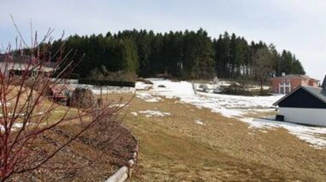 Der bewaldete Kallenberg prägt das Trochtelfinger Ortsbild. Die Stadt wird den Hügel in Kürze erwerben.
FOTO: BAIER