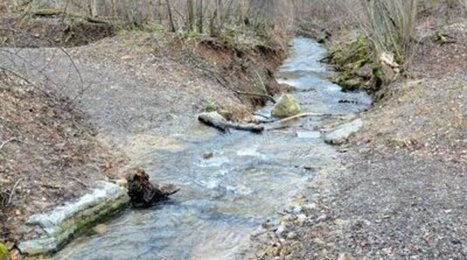 Regen und Schneeschmelze haben die Furt im Jettenburger Wald fast unpassierbar gemacht.
GEA-FOTO: MEYER