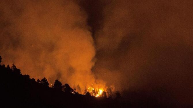 Ein Deutscher wird verdächtigt, das Feuer verursacht zu haben. Foto: Miguel Angel Perez Calero