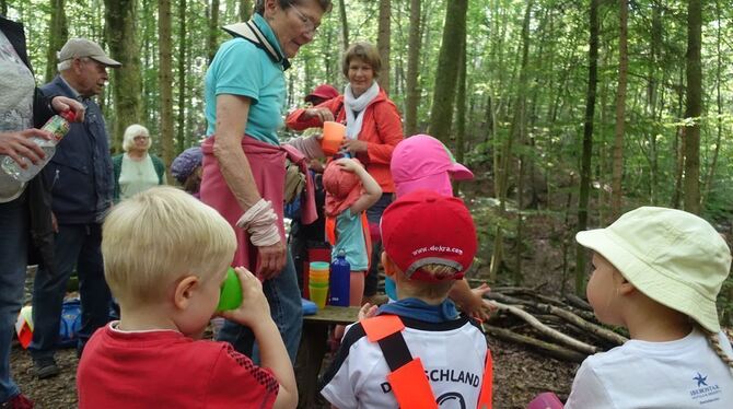 Begegnung  im Wald: Spannende Stunden verspricht ein Generationenprojekt der städtischen Abteilung für Ältere.