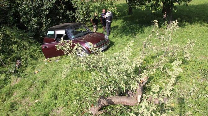 Die drei Insassen des Mini wurden schwer verletzt. Foto: www.7aktuell.de/Lukas Felder